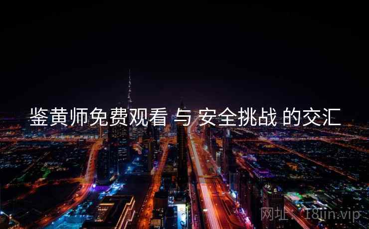 鉴黄师免费观看 与 安全挑战 的交汇 鉴黄师免费观看 与 安全挑战 的交汇
