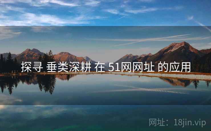 探寻 垂类深耕 在 51网网址 的应用