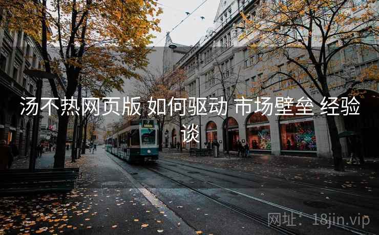 汤不热网页版 如何驱动 市场壁垒 经验谈