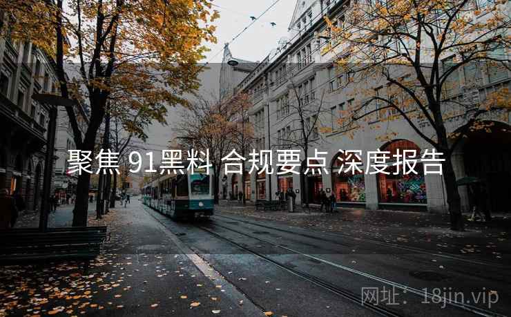 聚焦 91黑料 合规要点 深度报告