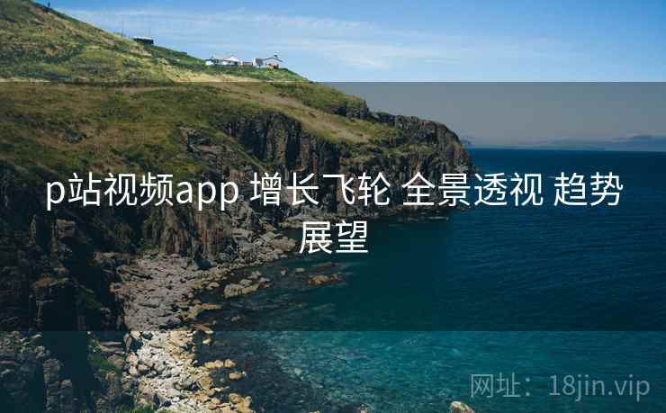 p站视频app 增长飞轮 全景透视 趋势展望