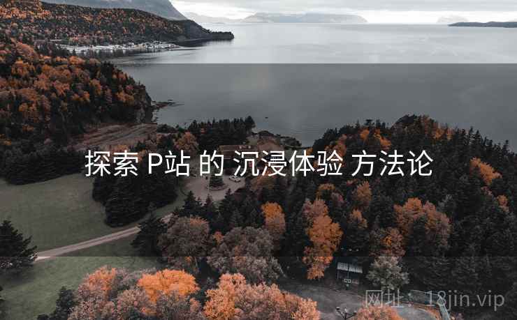 探索 P站 的 沉浸体验 方法论 探索 P站 的 沉浸体验 方法论